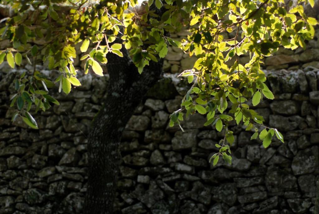 Agriturismo Iazzo Scagno Martina Franca Exterior foto